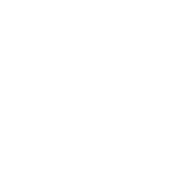 LinkedIn Logo